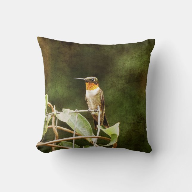 Ruby Throated Hummingbird Cushion (Front)
