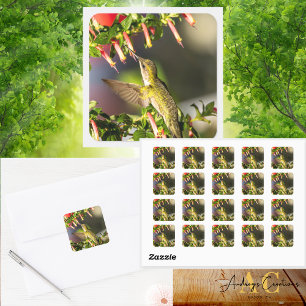Ruby-Throated Hummingbird Design  #4Q7A2115 Square Sticker