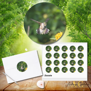 Ruby-Throated Hummingbird Enjoying Butterfly Weed Classic Round Sticker