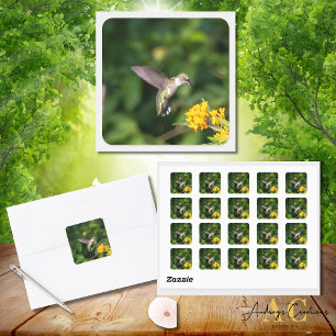 Ruby-Throated Hummingbird Enjoying Butterfly Weed Square Sticker
