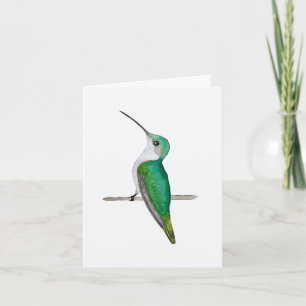 Ruby-throated Hummingbird Female Greeting Card