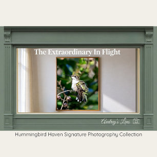 Ruby-Throated Hummingbird Fine Art Photography  Poster