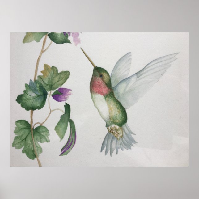 Ruby-throated Hummingbird Garden Watercolor Poster (Front)