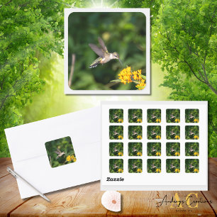 Ruby-Throated Hummingbird in Butterfly Weed Square Sticker
