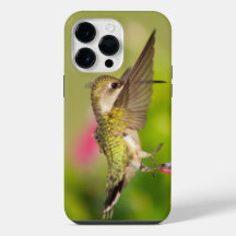 Ruby-Throated Hummingbird 