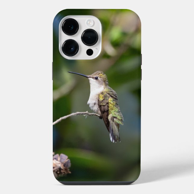 Ruby-Throated Hummingbird  iPhone Case (Back)