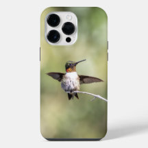 Ruby-Throated Hummingbird 