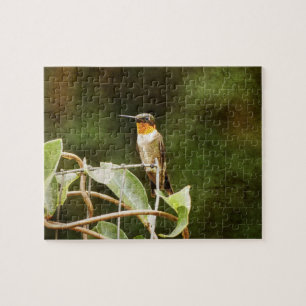 Ruby Throated Hummingbird Jigsaw Puzzle