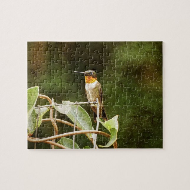 Ruby Throated Hummingbird Jigsaw Puzzle (Horizontal)