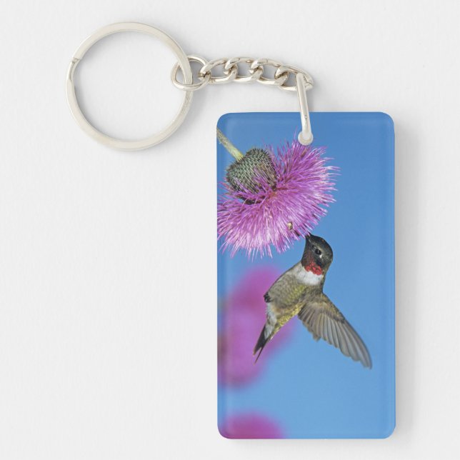 Ruby-throated Hummingbird Key Ring (Front)
