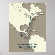 Ruby-throated Hummingbird Migration Map 