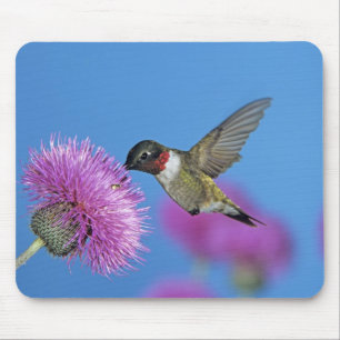 Ruby-throated Hummingbird Mouse Mat