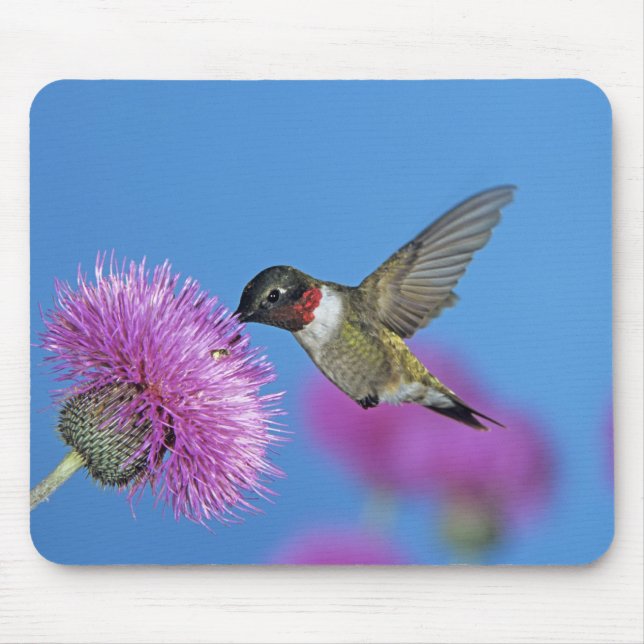 Ruby-throated Hummingbird Mouse Mat (Front)