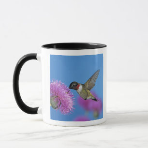 Ruby-throated Hummingbird Mug