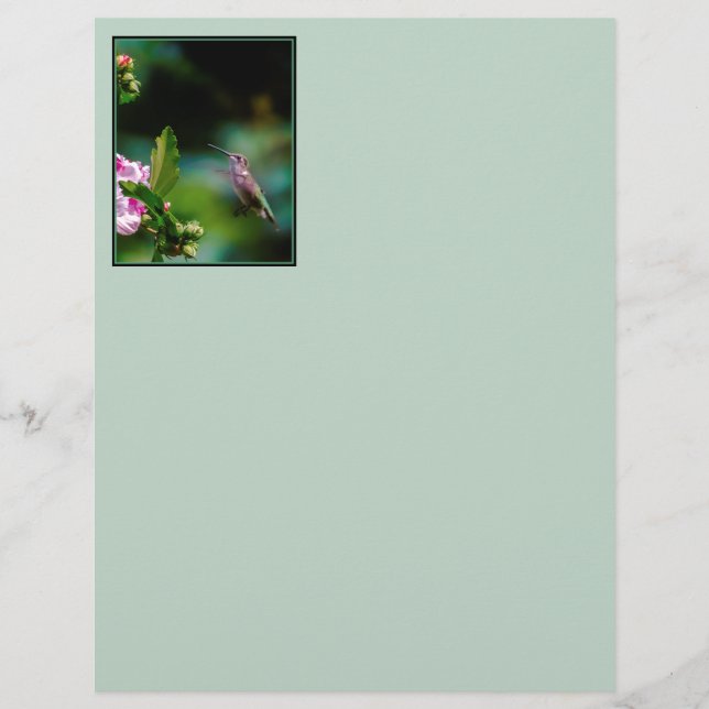 Ruby-throated Hummingbird - Original Photograph (Front)