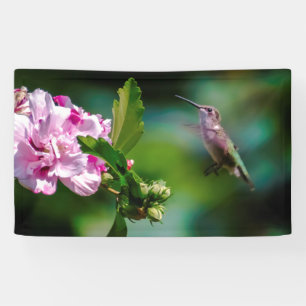 Ruby-throated Hummingbird - Original Photograph Banner