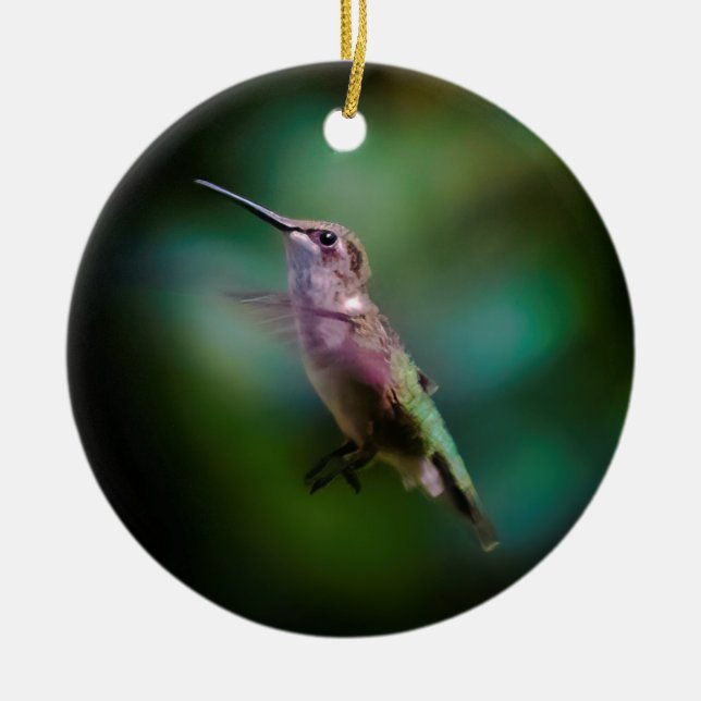 Ruby-throated Hummingbird - Original Photograph Ceramic Tree Decoration (Front)