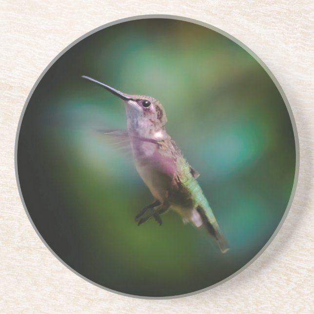 Ruby-throated Hummingbird - Original Photograph Coaster (Front)