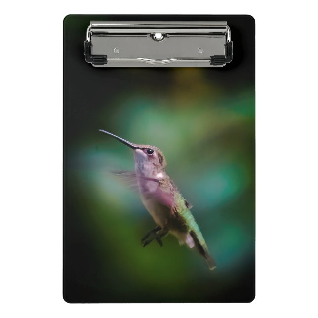 Ruby-throated Hummingbird - Original Photograph Mini Clipboard (Front)