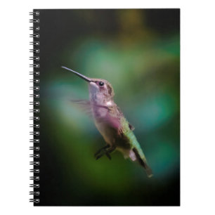 Ruby-throated Hummingbird - Original Photograph Notebook