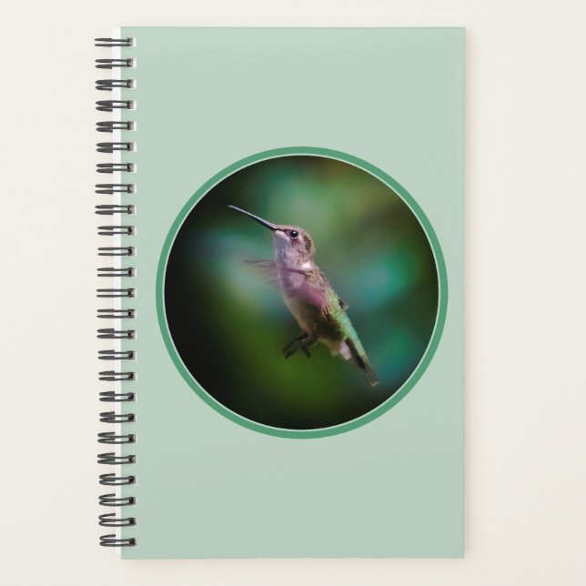 Ruby-throated Hummingbird - Original Photograph Planner (Front)