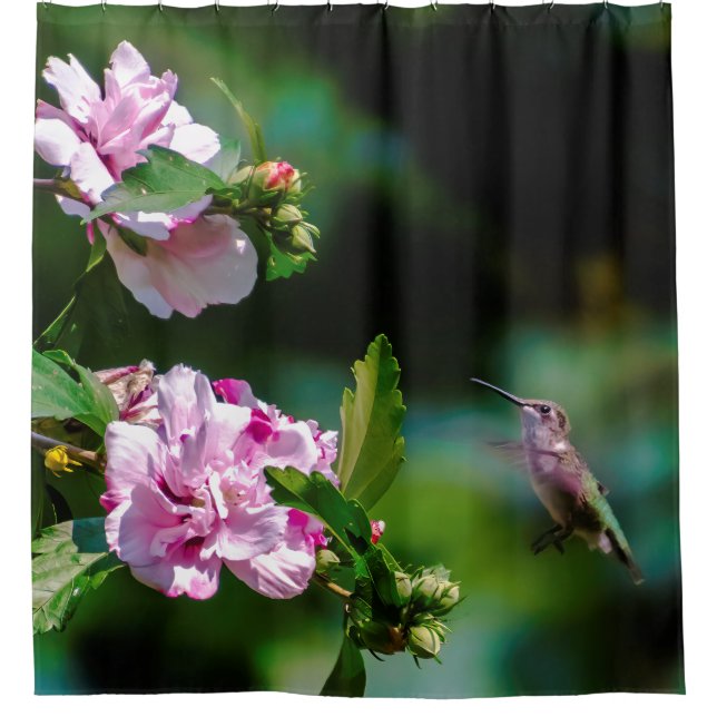 Ruby-throated Hummingbird - Original Photograph Shower Curtain (Front)
