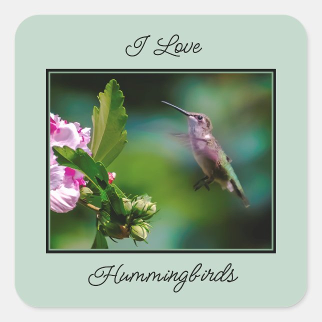 Ruby-throated Hummingbird - Original Photograph Square Sticker (Front)