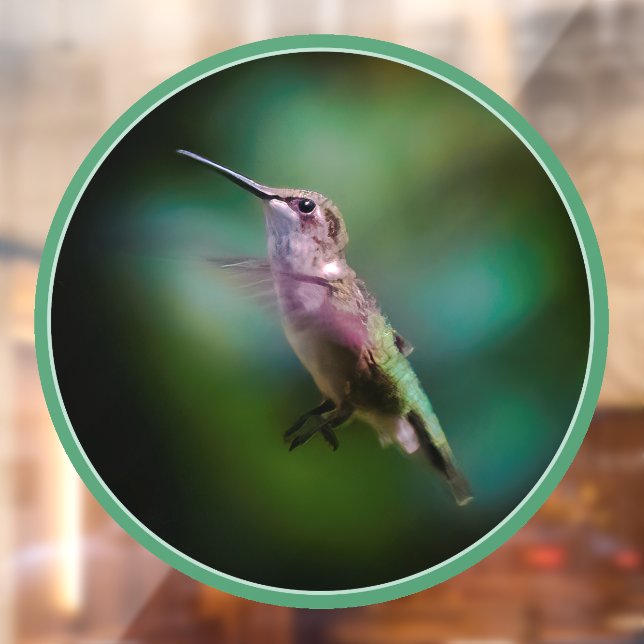 Ruby-throated Hummingbird - Original Photograph Window Cling (Sheet 2)