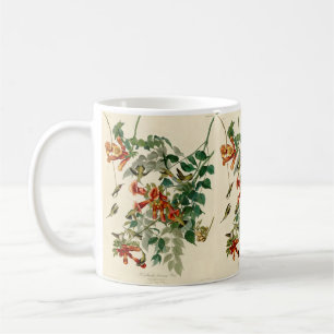 Ruby Throated Hummingbird Painting by Audubon Coffee Mug