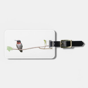 Ruby-Throated Hummingbird, Personalised Luggage Tag