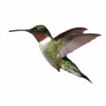 Ruby Throated Hummingbird Photo Sculpture Key Ring<br><div class="desc">This lovely 3D keychain is a ruby throated hummingbird</div>