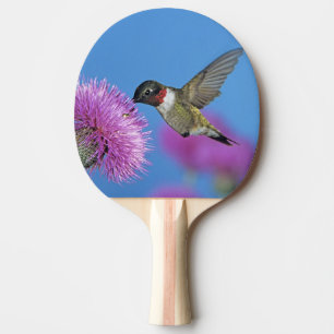 Ruby-throated Hummingbird Ping Pong Paddle