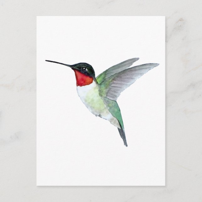Ruby-throated Hummingbird Postcard (Front)