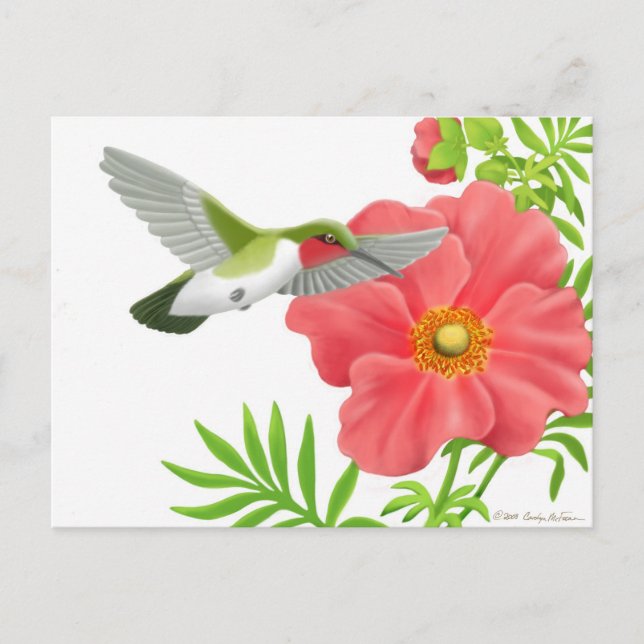 Ruby Throated Hummingbird Postcard (Front)