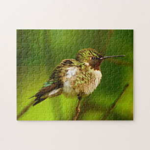Ruby Throated Hummingbird Puzzle
