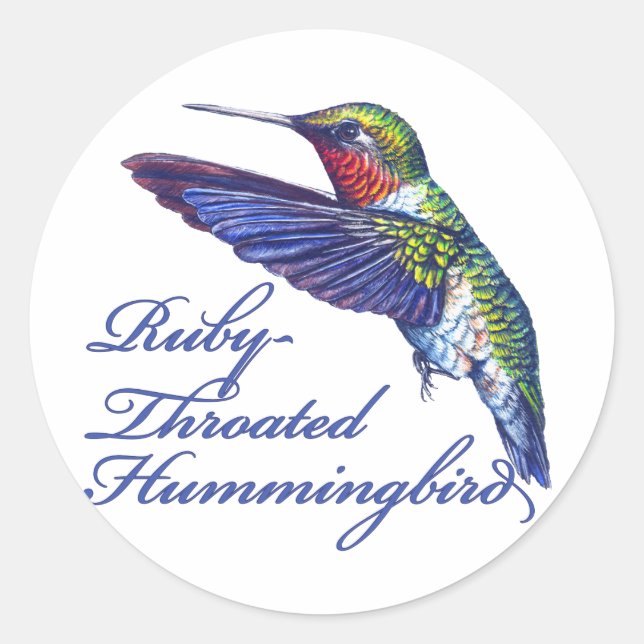 Ruby Throated Hummingbird Scripted Classic Round Sticker (Front)