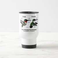 Ruby-throated Hummingbird Statistics
