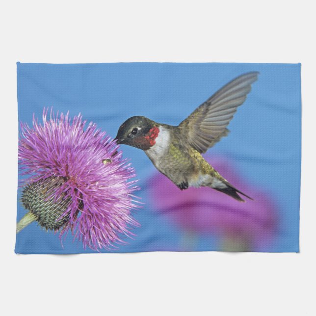 Ruby-throated Hummingbird Tea Towel (Horizontal)