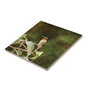 Ruby Throated Hummingbird Tile