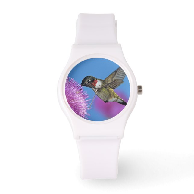 Ruby-throated Hummingbird Watch (Front)