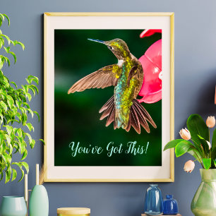 Ruby Throated Hummingbird You've Got This Quote Poster
