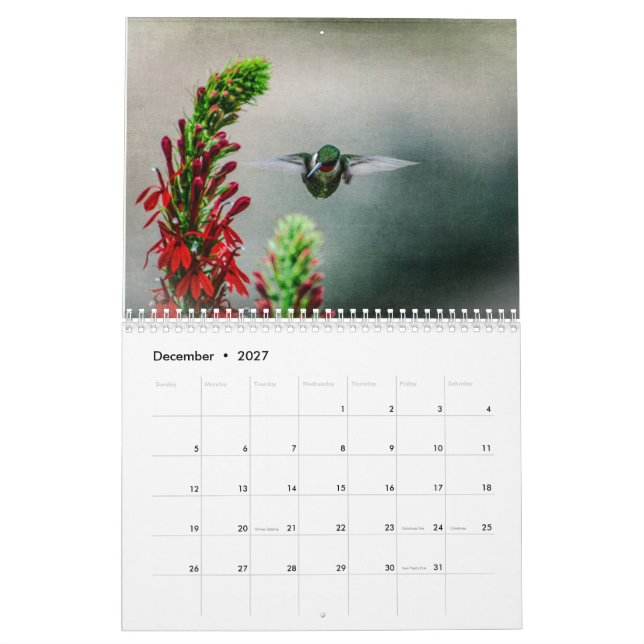 Ruby Throated Hummingbirds Calendar (Dec 2027)