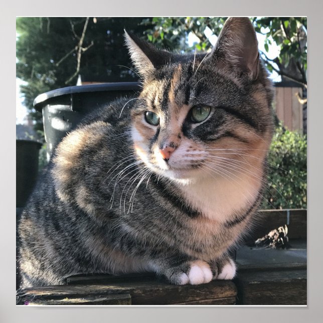 Ruby's Mamma, Mrs Ribby Poster (Front)