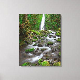 Ruckel Creek Falls, Columbia River Gorge Oregon Canvas Print