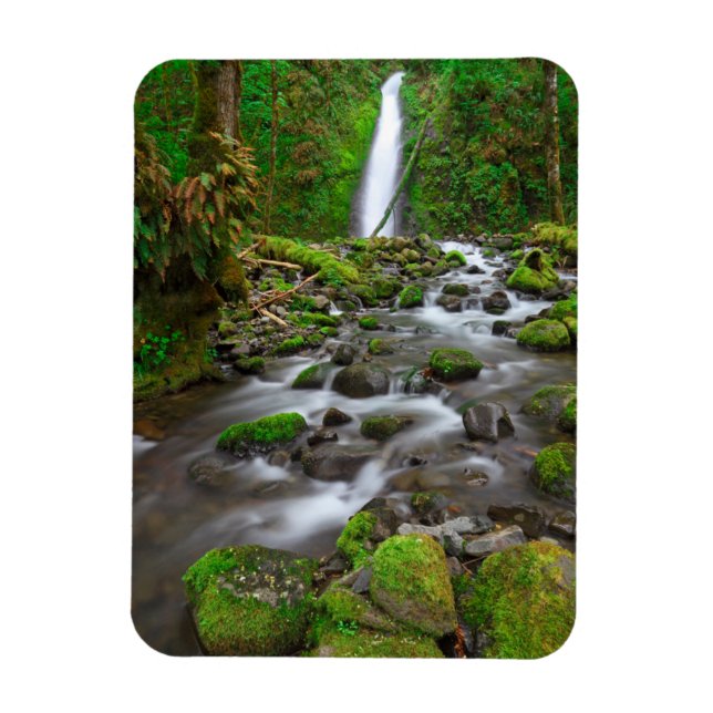 Ruckel Creek Falls, Columbia River Gorge Oregon Magnet (Vertical)