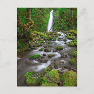 Ruckel Creek Falls, Columbia River Gorge Oregon Postcard