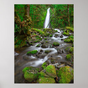 Ruckel Creek Falls, Columbia River Gorge Oregon Poster