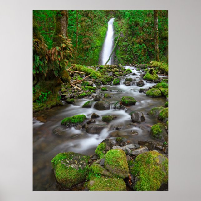 Ruckel Creek Falls, Columbia River Gorge Oregon Poster (Front)