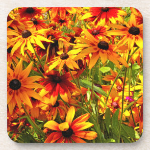 RUDBECKIA FLOWERS COASTER