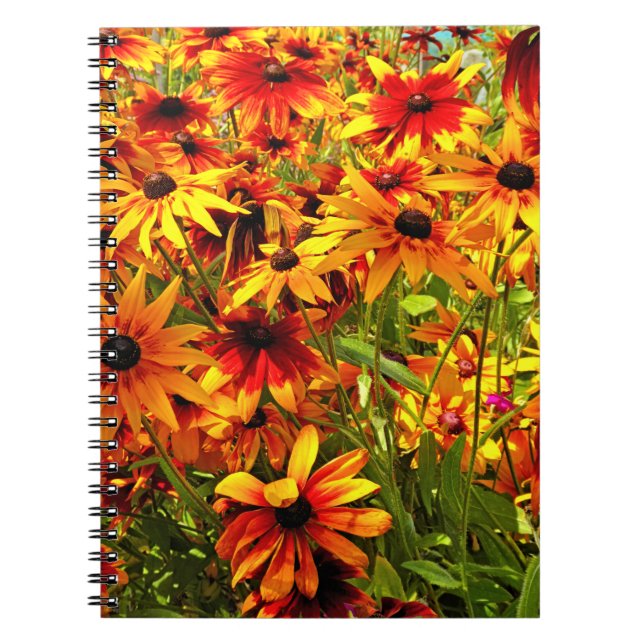 RUDBECKIA FLOWERS   NOTEBOOK (Front)